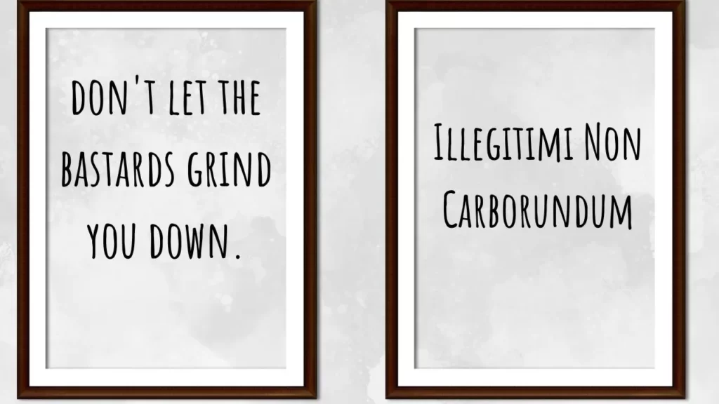 Illegitimi Non Carborundum Similar Phrases