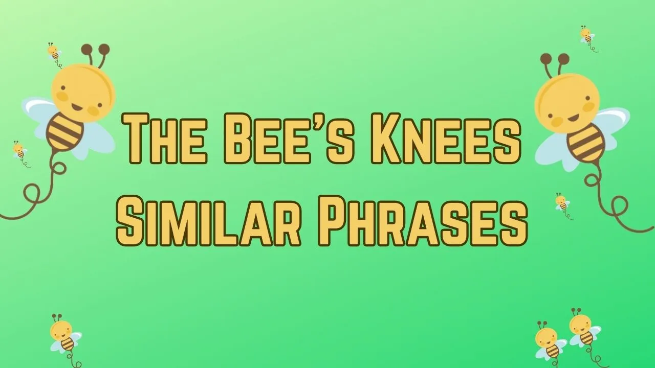 The Bee's Knees Similar Phrases