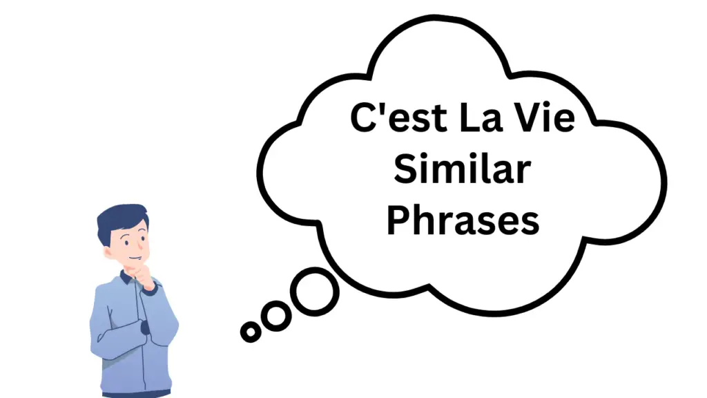 c'est la vie similar phrases