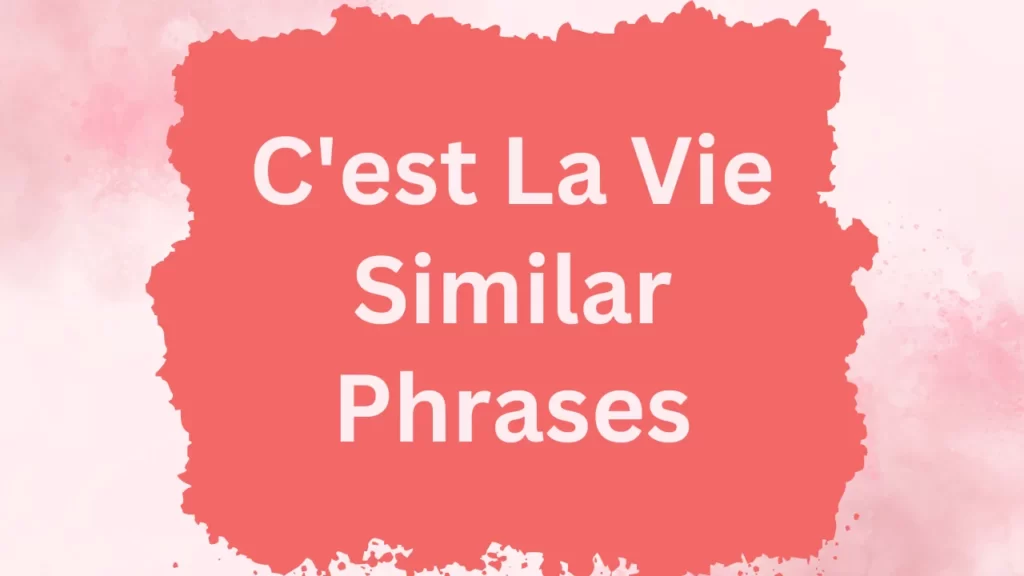 C'est la Vie Similar Phrases 