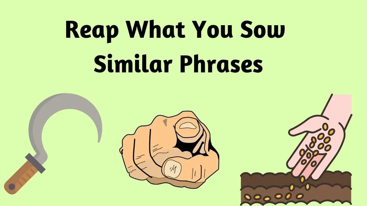 Reap What You Sow Similar Phrases