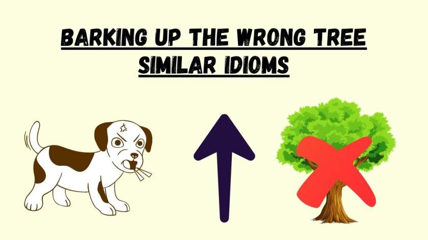 Barking Up the Wrong Tree Similar Idioms