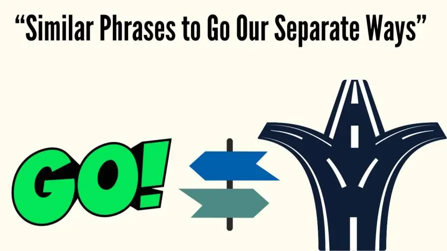 Similar Phrases to Go Our Separate Ways