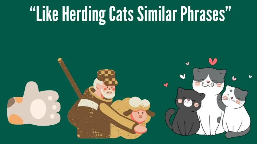 Like Herding Cats Similar Phrases