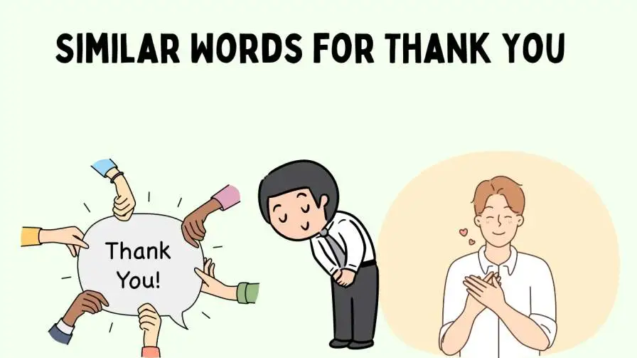 Similar Words for Thank You