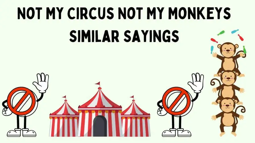 Not My Circus Not My Monkeys Similar Sayings